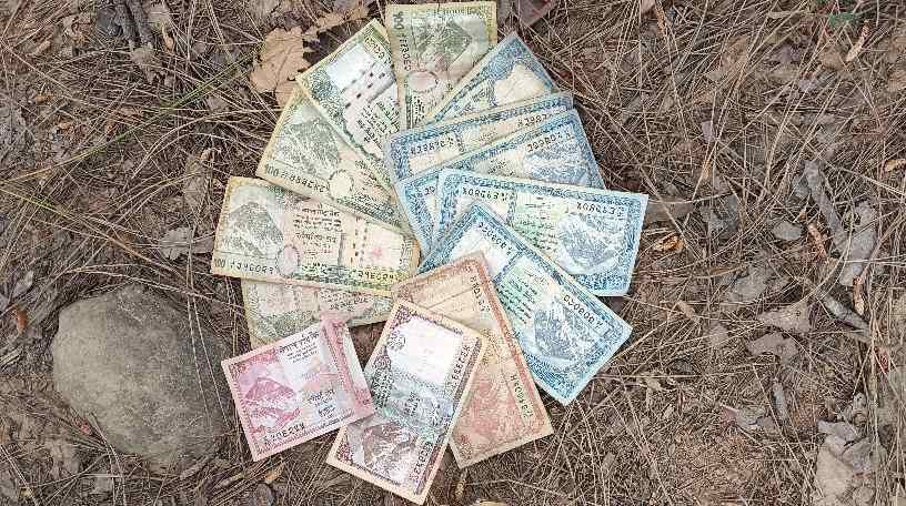 आज की सब्जी बिक्री से कमाये हुए नेपाली रुपये।